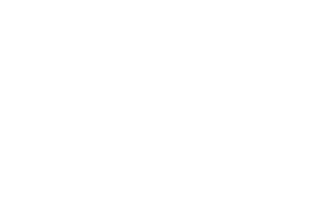 Ai plus