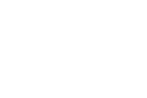 Link Consultants