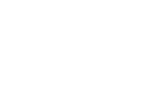 Perspectives